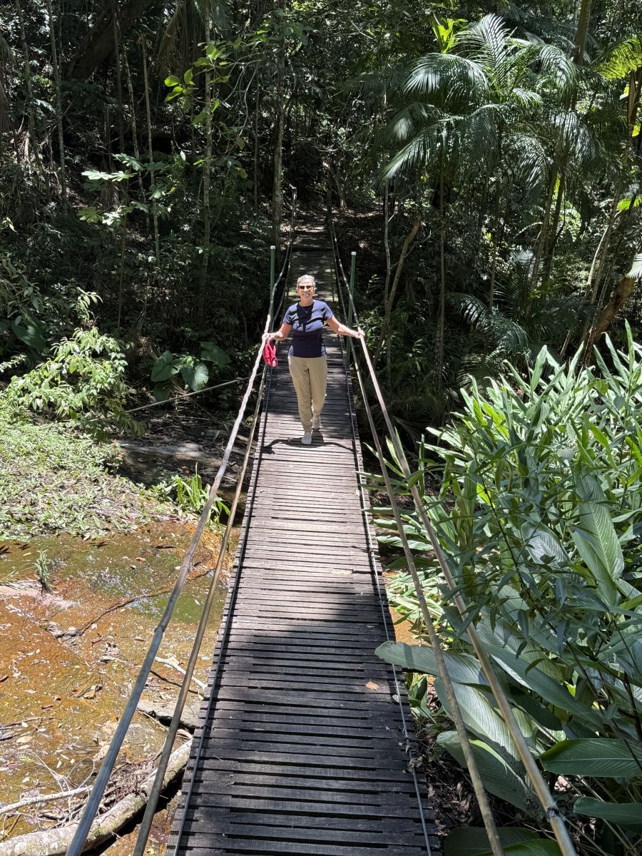 </who>Over the Ponte Pensil suspension bridge.