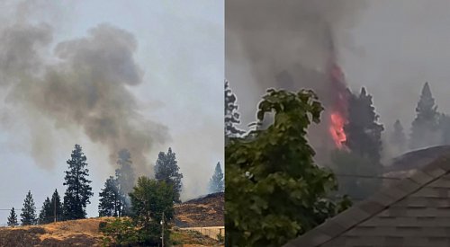 UPDATE: Kelowna RCMP make quick arrest of suspect at scene of Knox Mountain fire