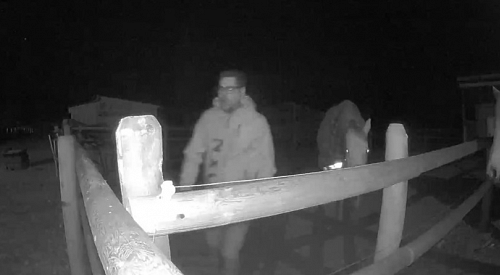 Man accused of sexually assaulting horses on rural Okanagan property