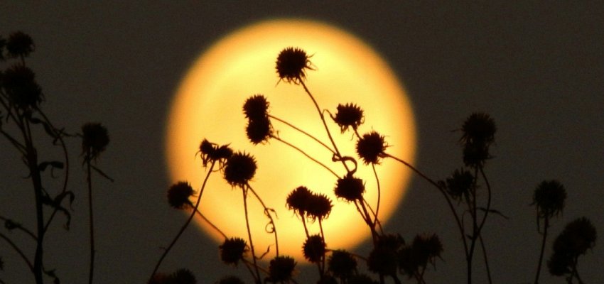 The full moon is here: Are you feeling anxious, unsettled, tense, violent?